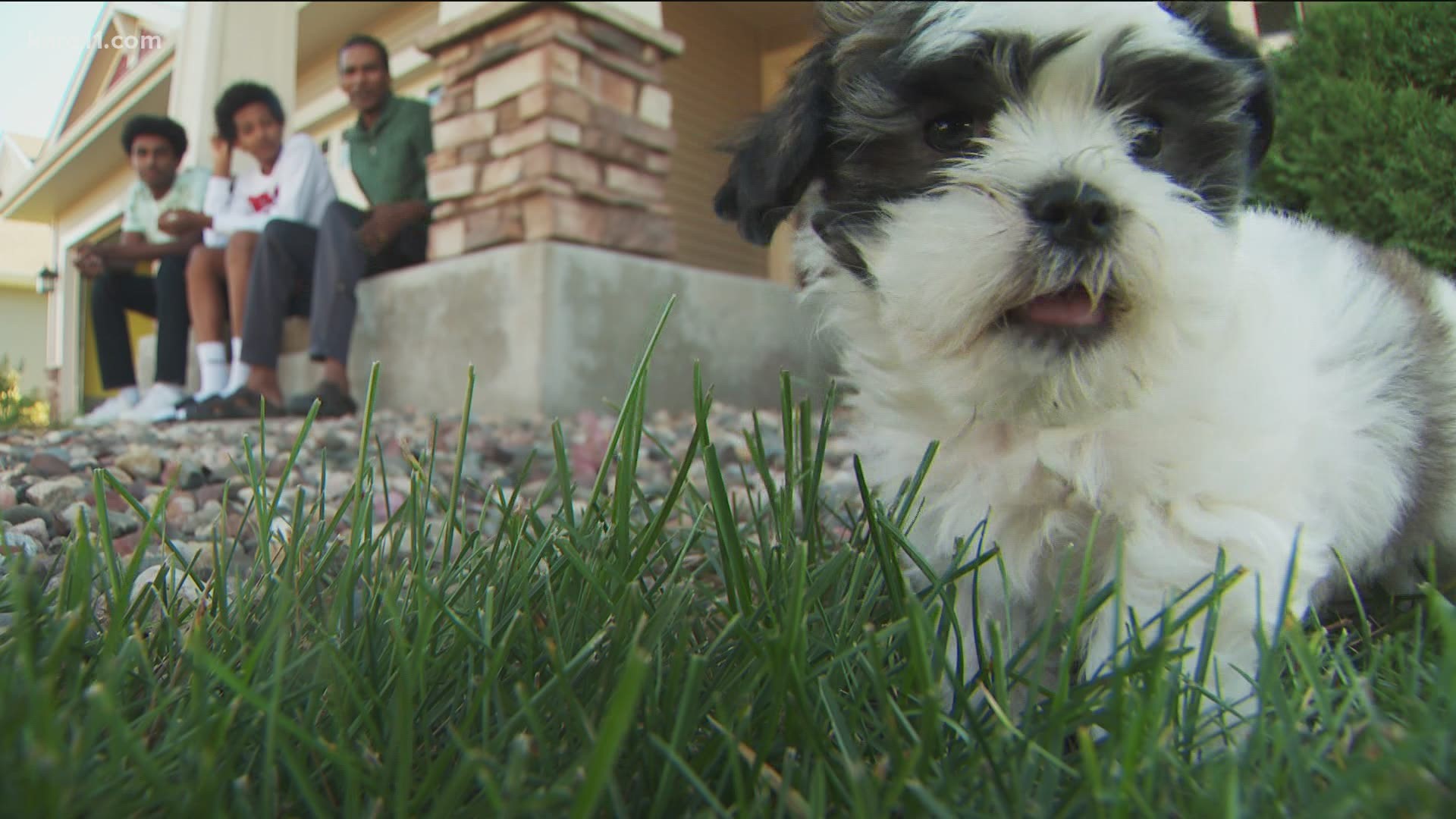 Minnesota neighborhood is hound zero in wave of pet adoptions.