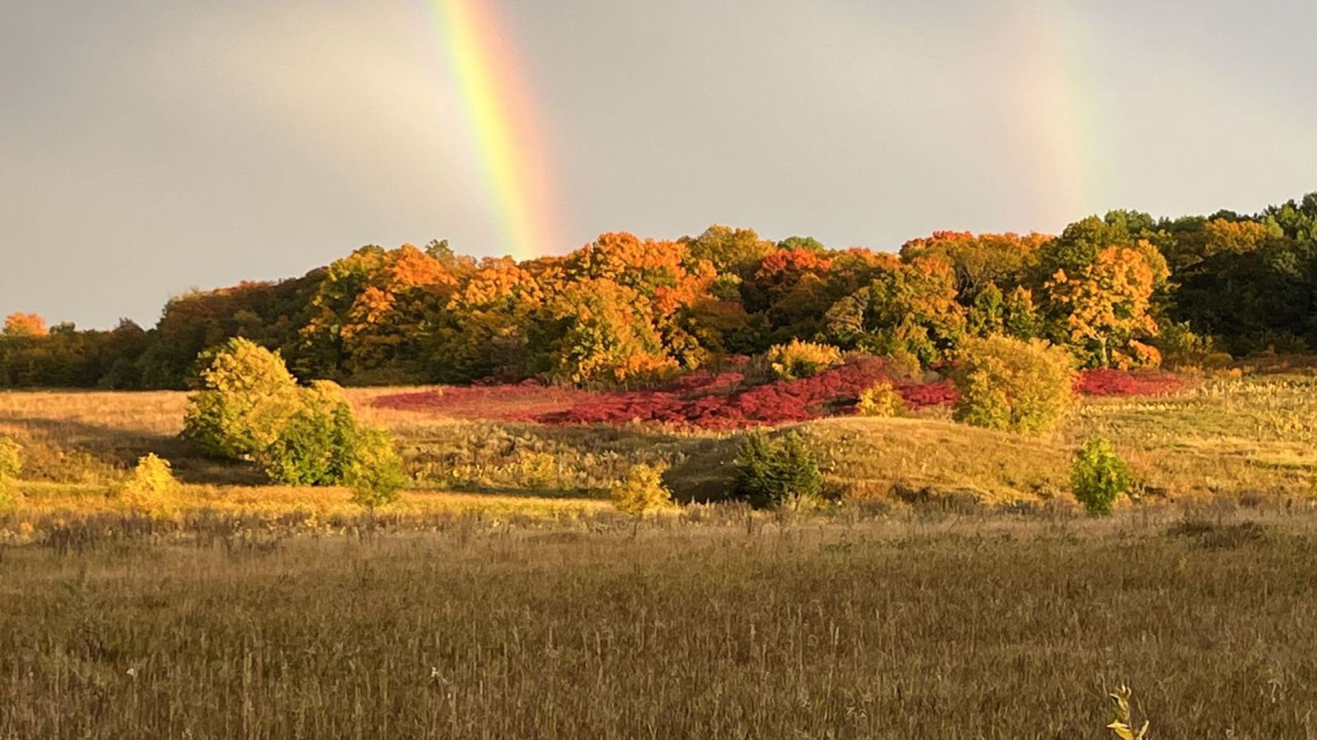 11 Minnesota apple orchards to check out this fall
