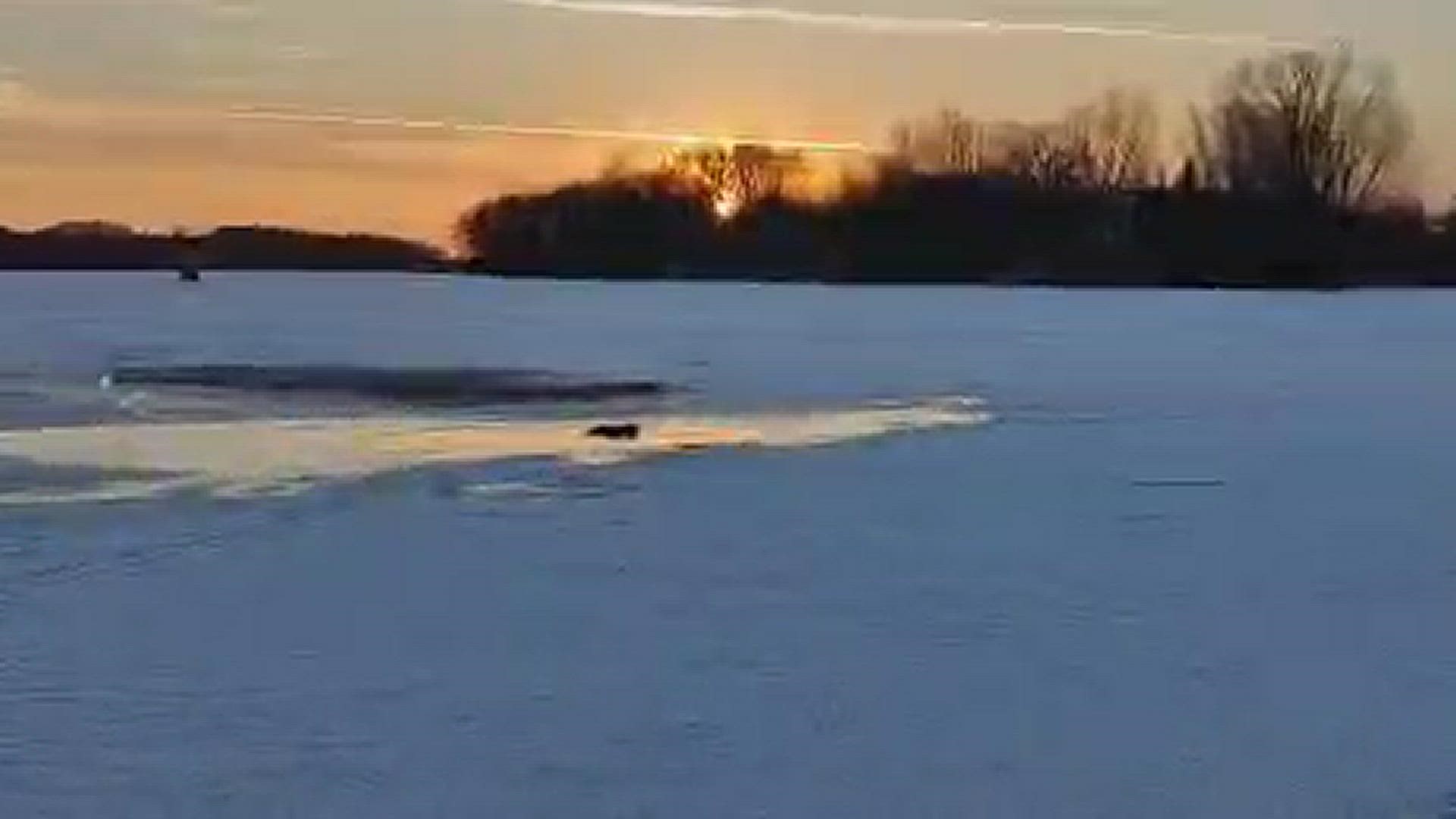 The Burton family took matters into their own hands when they saw a loon struggling in Skogman Lake Thursday night.