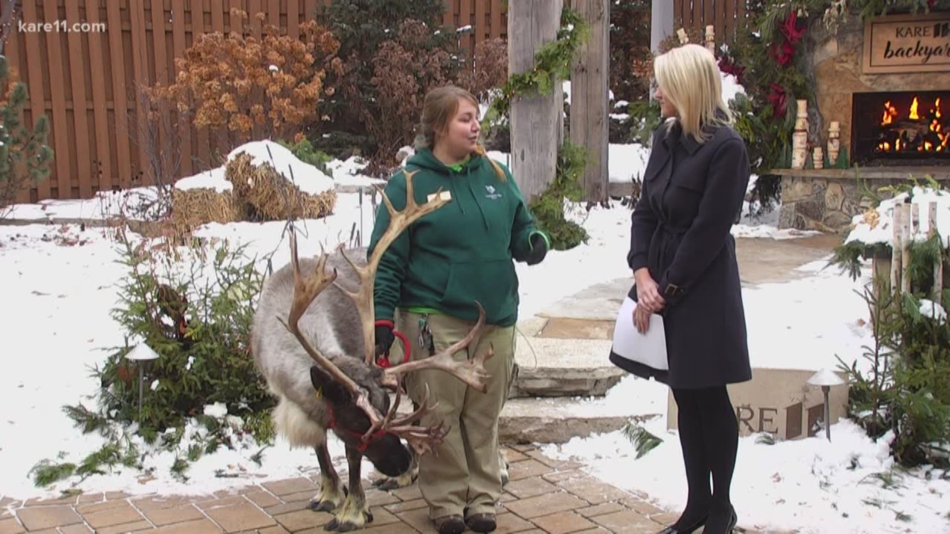 The Minnesota Zoo is offering new behind the scenes experiences to get an inside look into the animal's habitats.