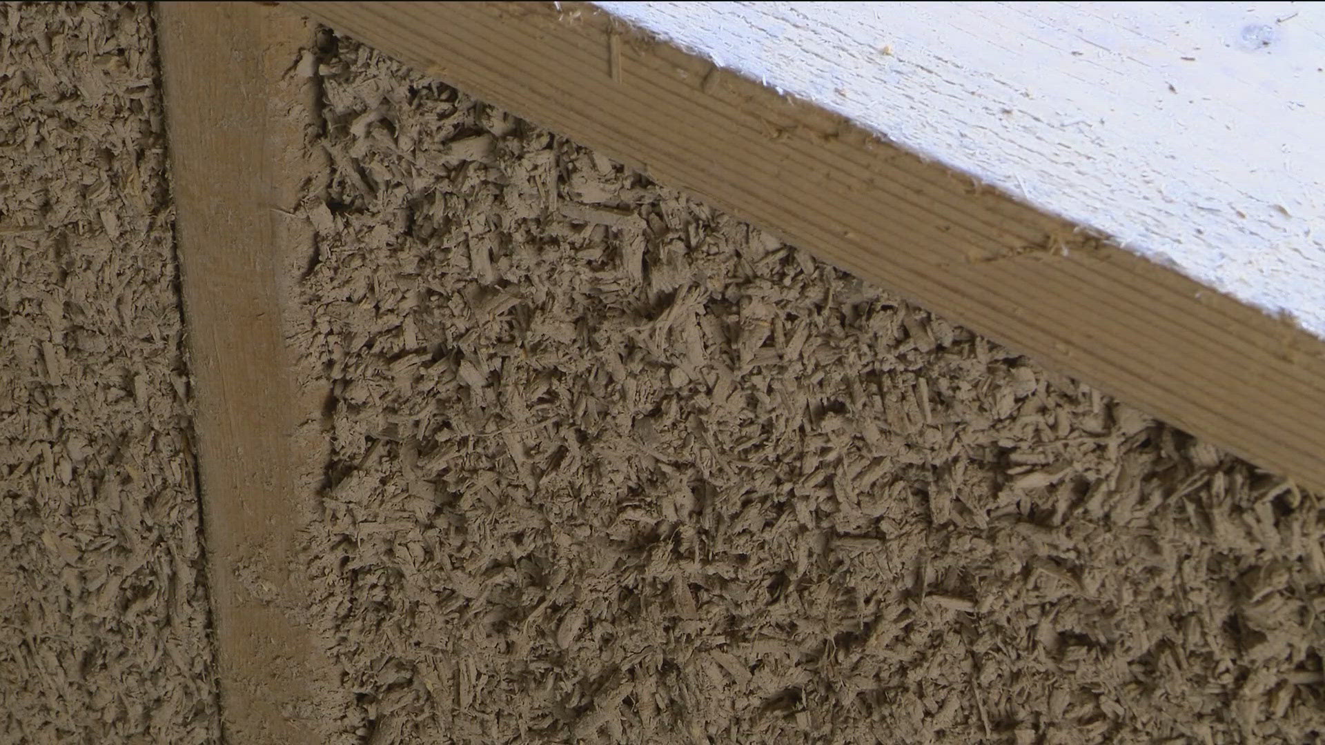 The Lower Sioux Indian Community has been using the hemp plant to insulate their homes.