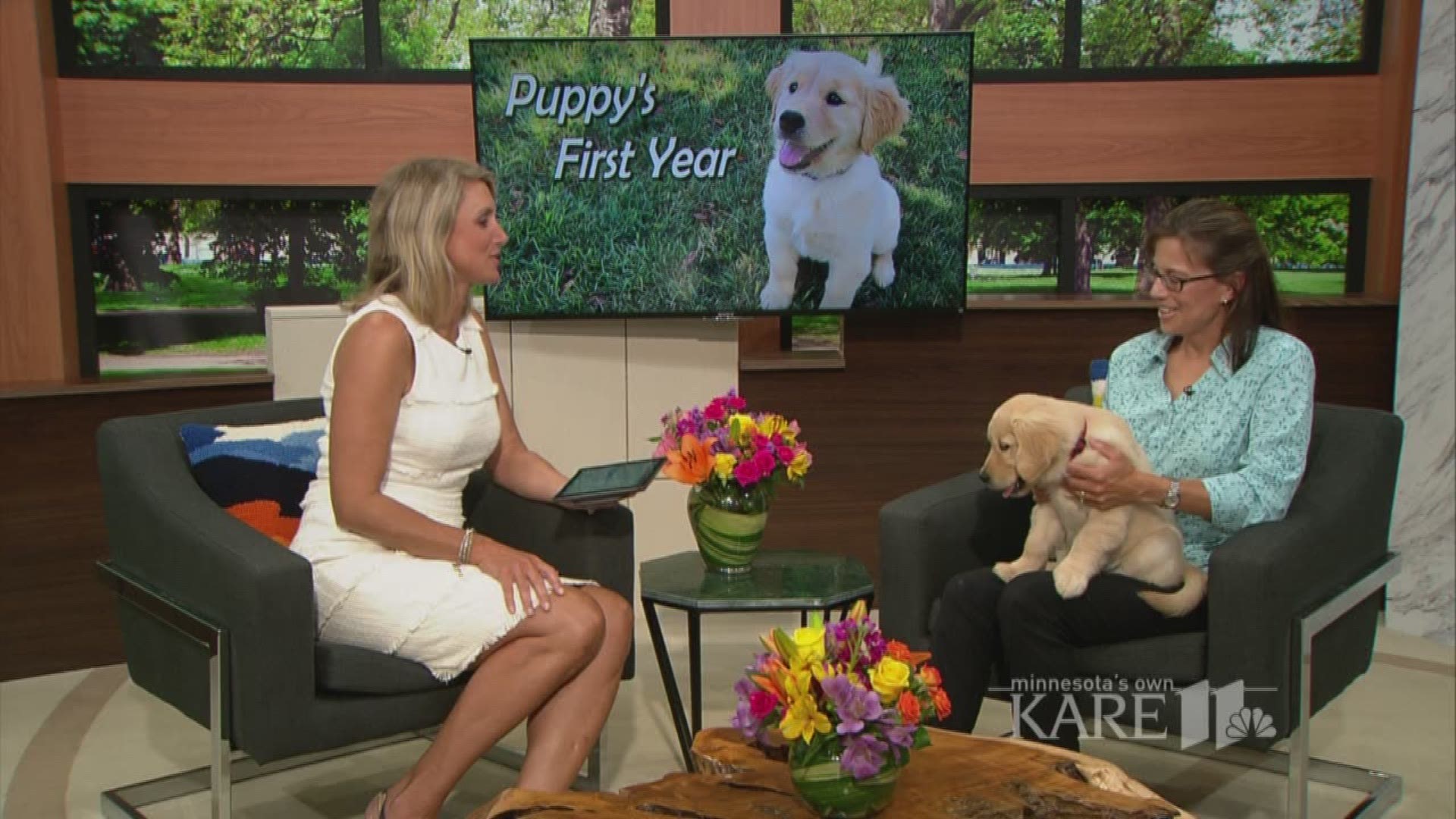 Bringing home a new fur-baby? Dog trainer Kathryn Newman and Poppy, an adorable golden retriever puppy, discuss tips and tricks to training your puppy from the moment you bring them home.