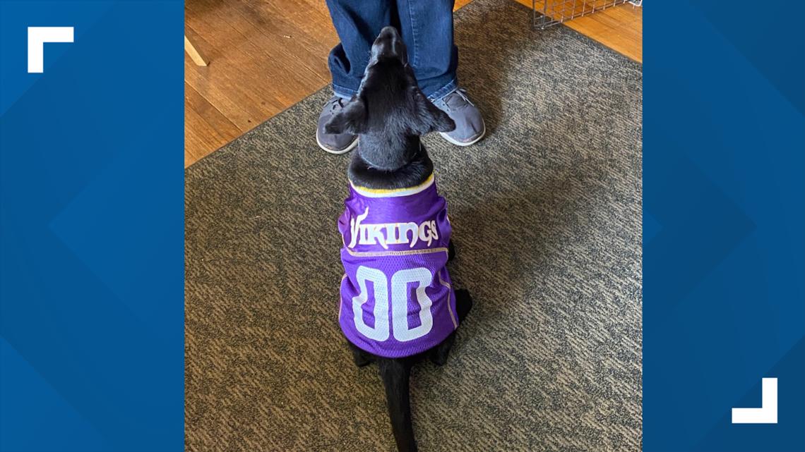 Minnesota Vikings Dog Jersey - Large