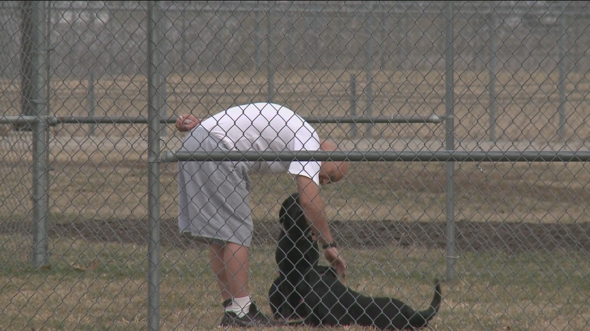 Can Do Canines resumed training operations at the correctional facility Thursday, bringing in two assistance dogs to be cared for and trained by a pair of inmates.