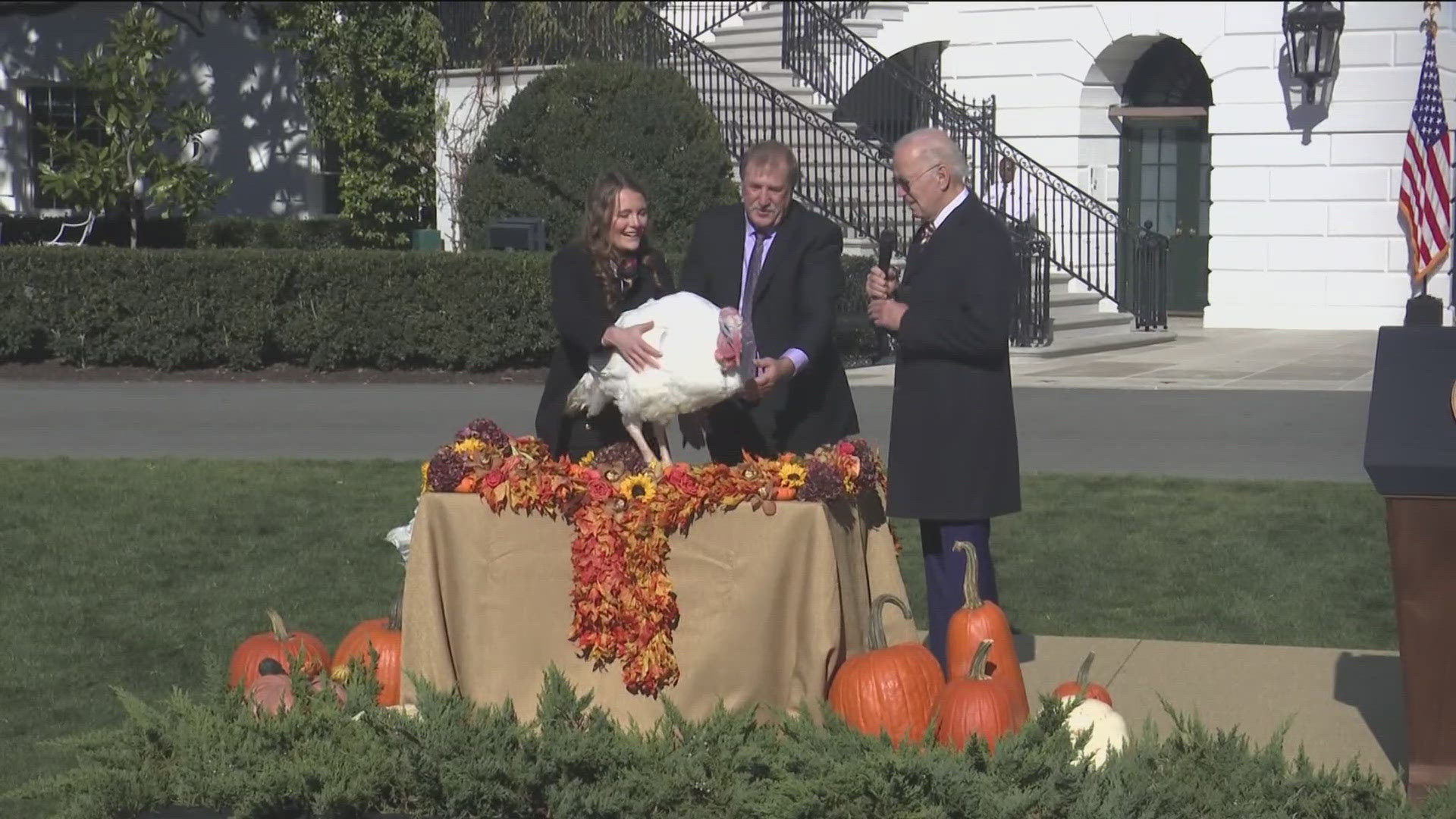 A couple of Minnesota turkeys are heading to Washington D.C. to gobble up the good life and be pardoned by President Biden.