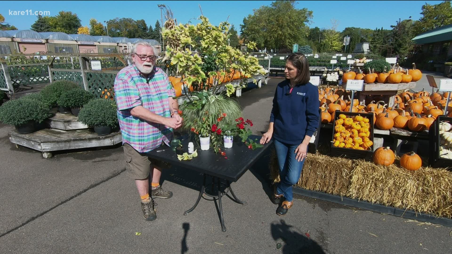 Bobby and Laura show you how to take a snip of your favorite summer annuals and save them for a ready-to-go plant next season