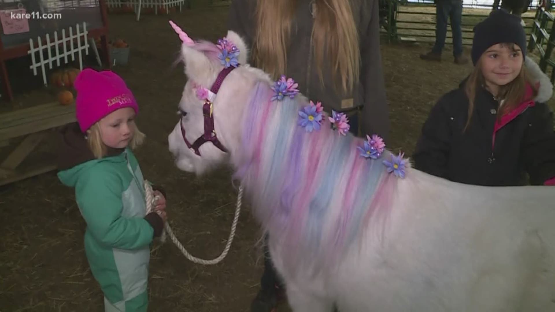 Exotic and domestic animals live inside the Fantasy Corral part of the Twin Cities Harvest Festival.
