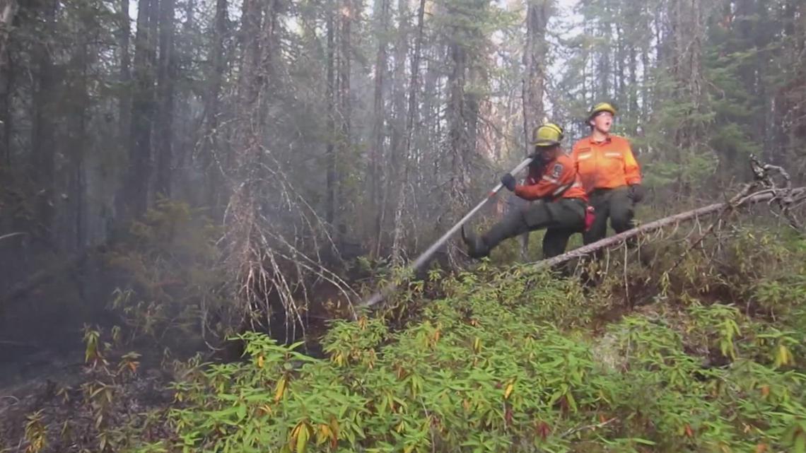 How Canadian Wildfires Are Affecting Wildlife Kare11