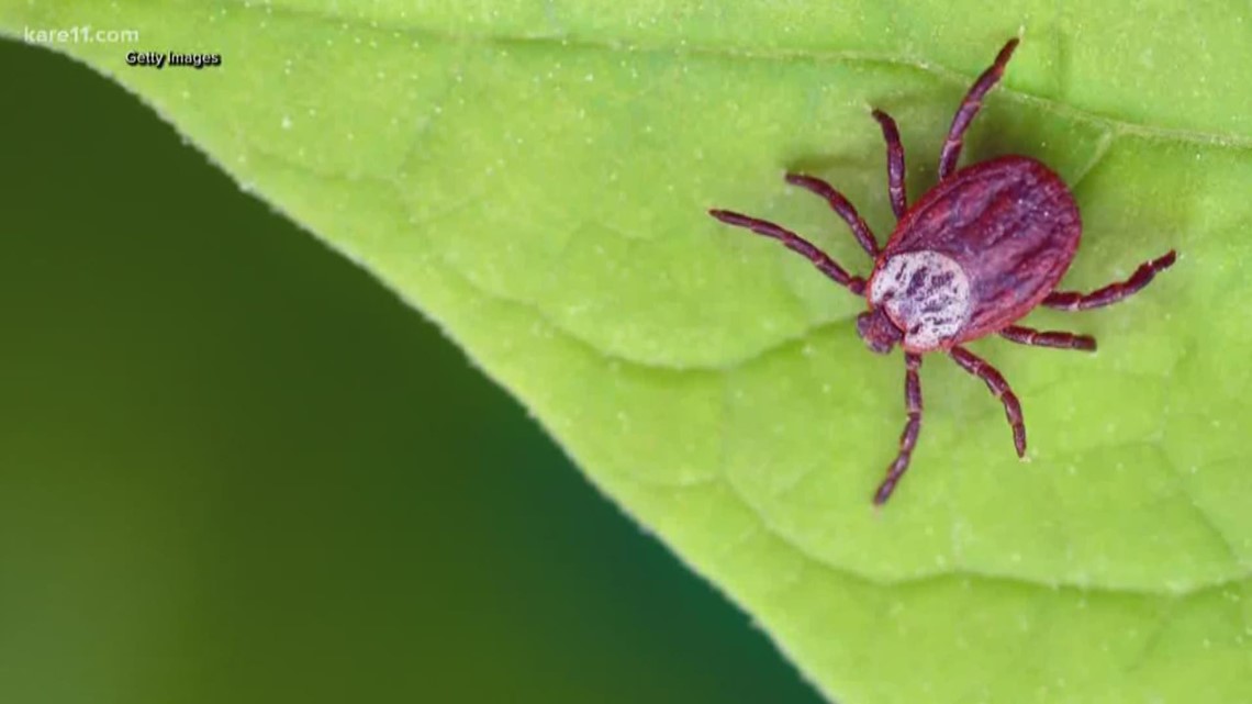 The Dept. of Defense was ordered to look through archives and find any proof Cold War-era scientists inserted Lyme Disease into ticks and other insects.