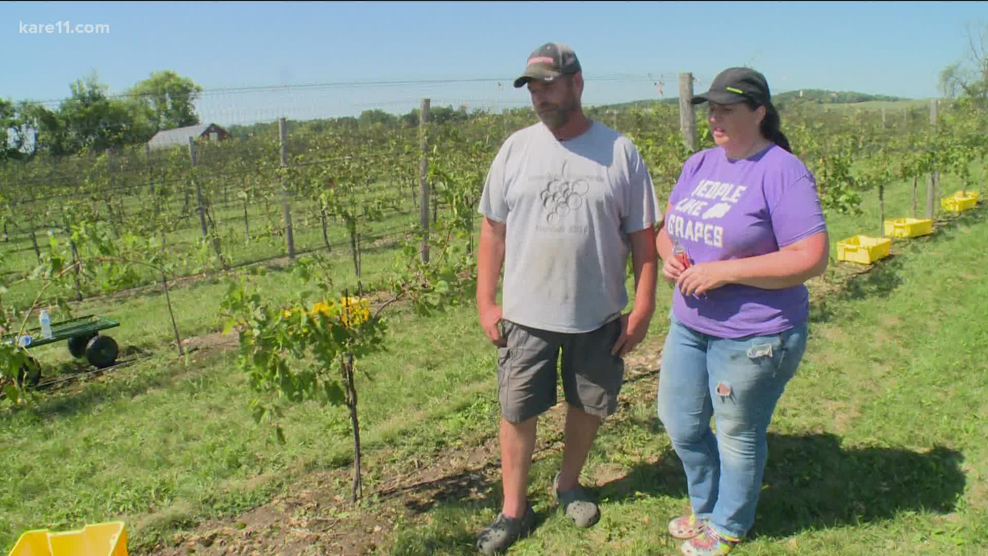 “All the fruit you see on the ground is from the storm, the leaves are shredded from hail damage and the fruit are busted open, it’s quite a loss,” said Chad Zirbes.