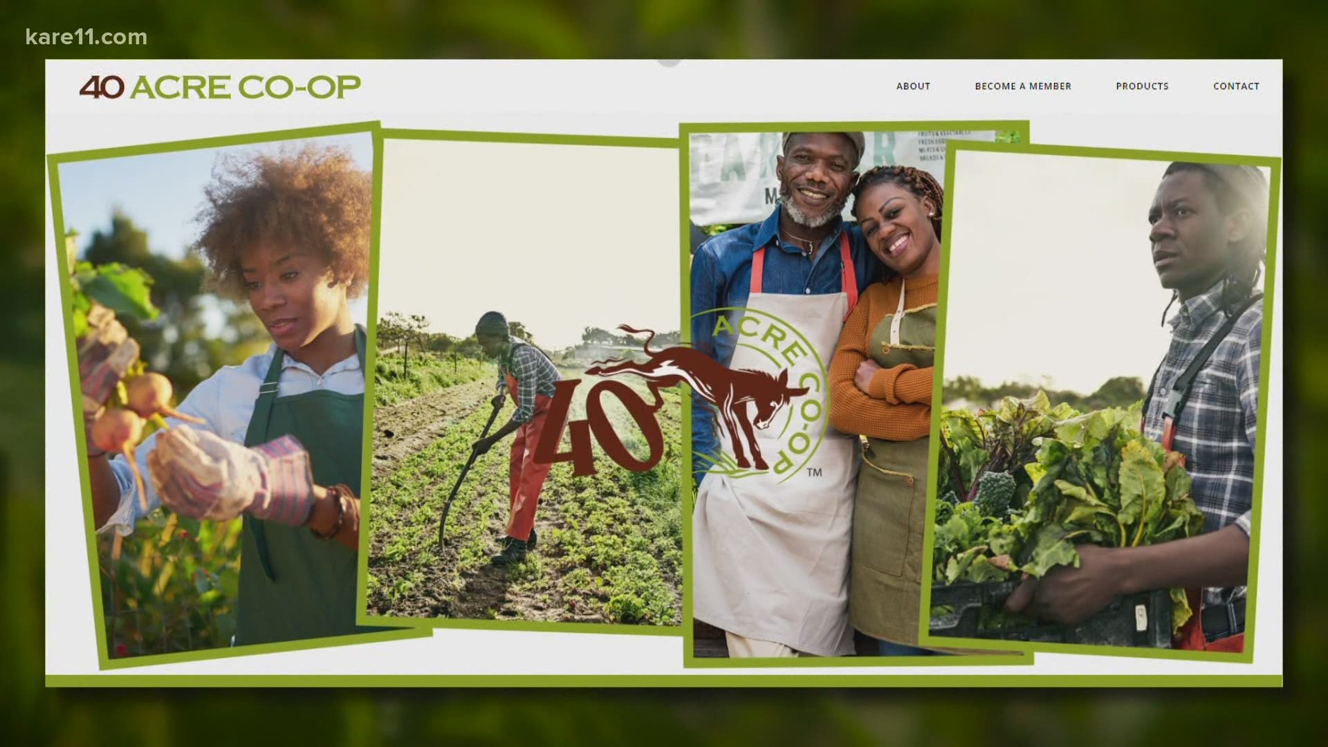 The 40-Acre Co-Op is providing a space for Black farmers to empower themselves.