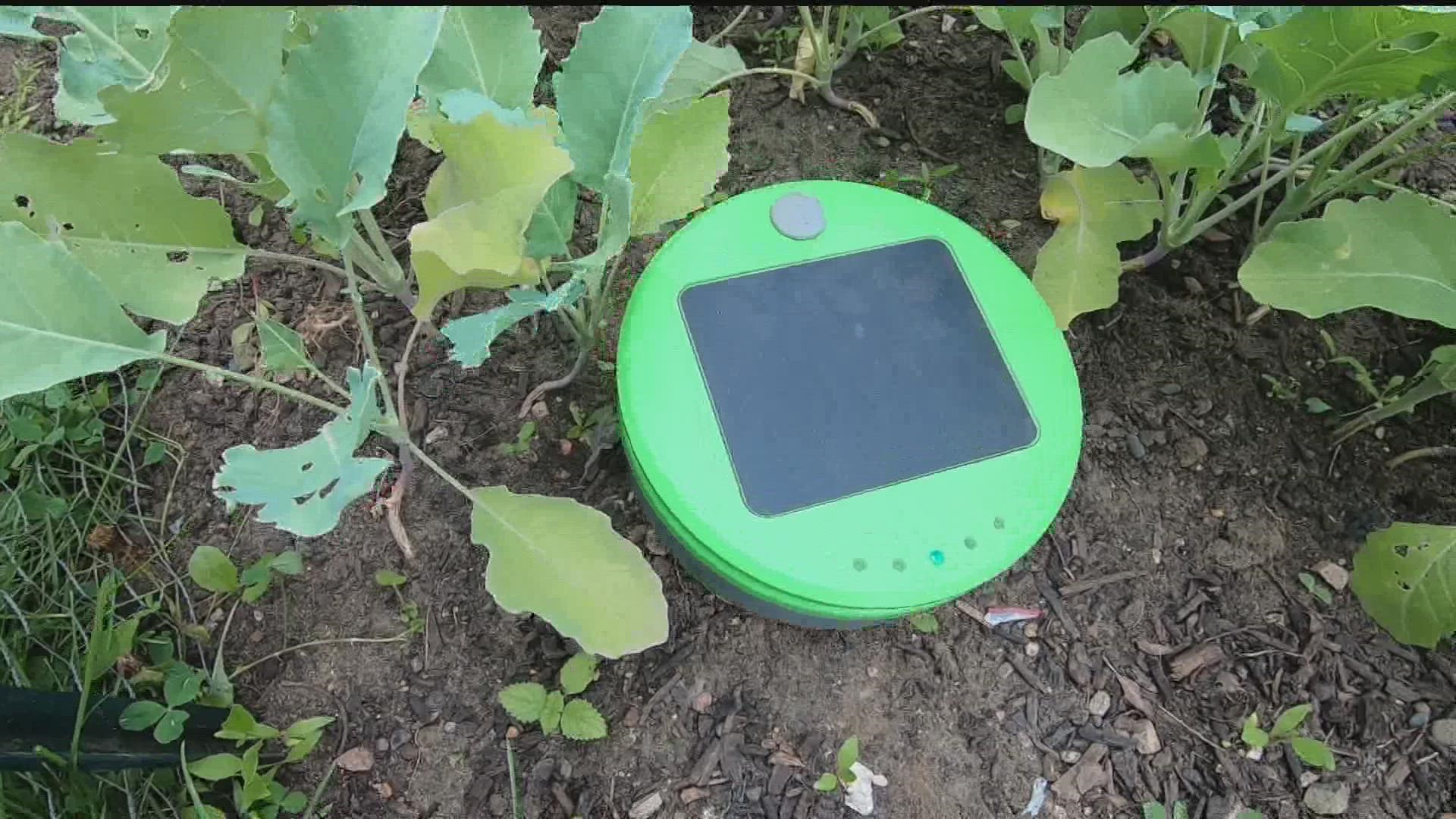 A robot that weeds your garden sounds futuristic and too good to be true. Bobby and Laura give it a try.