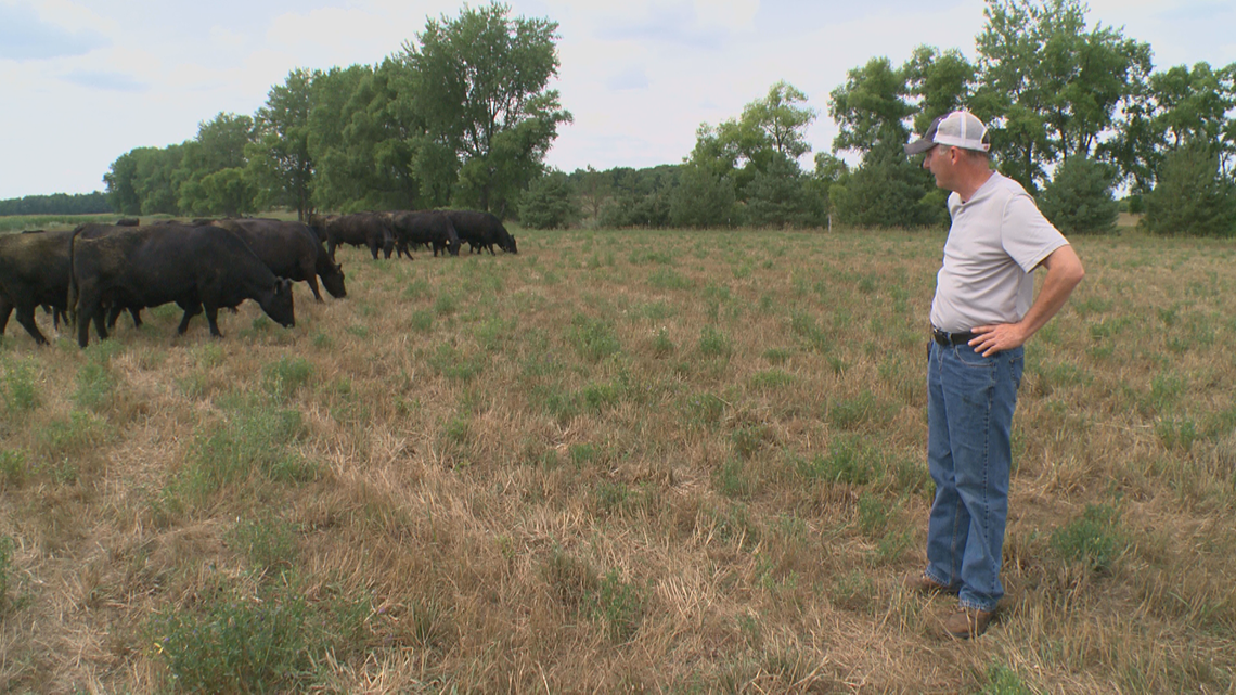 Drought forces Minnesota farmers to make tough decisions - Vimarsana News