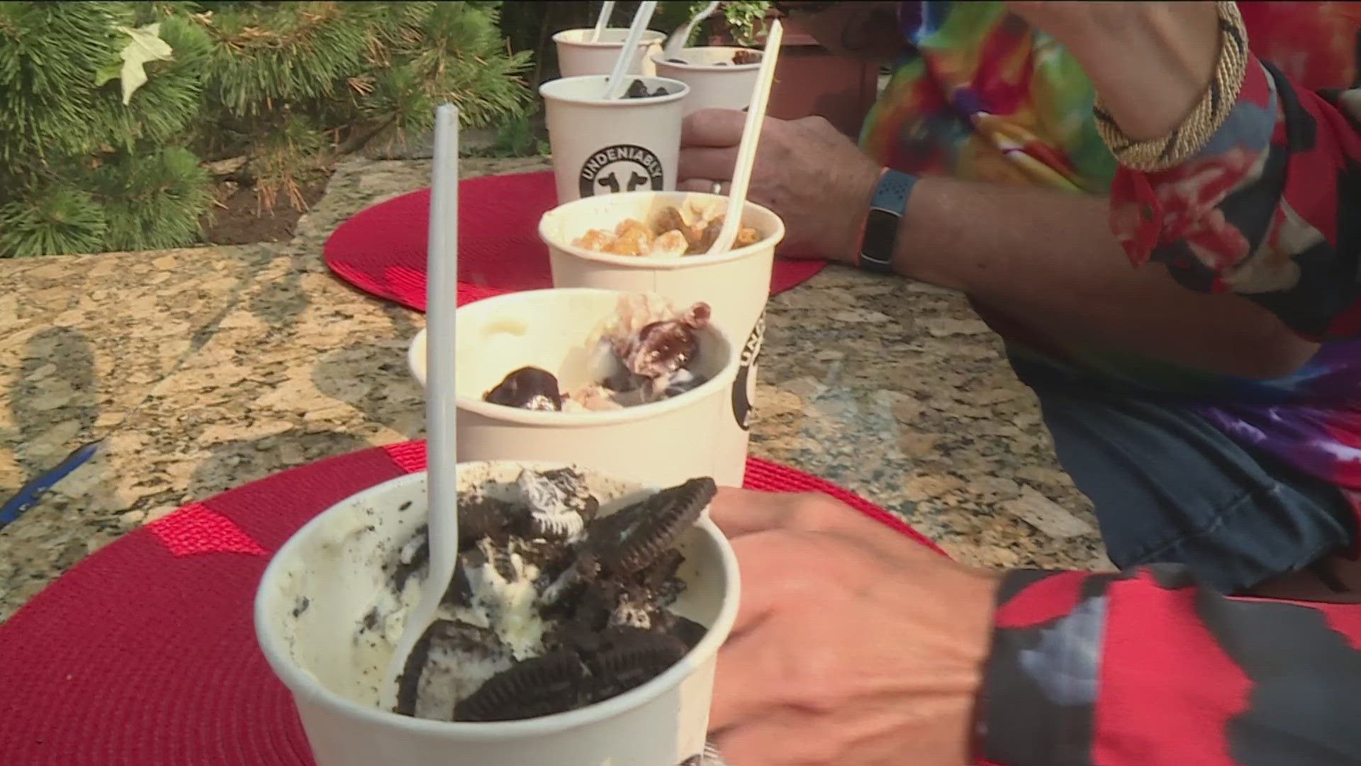 If you love going to the State Fair, then you're probably familiar with the ice cream offerings and this year you'll have a chance to vote on a new flavor.