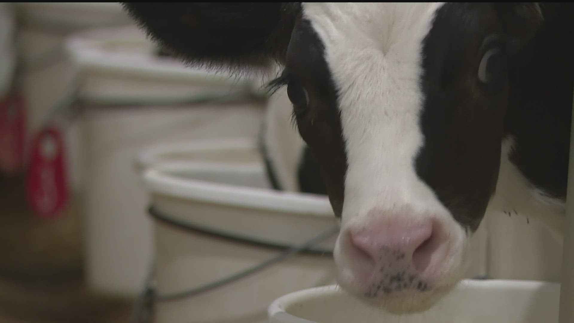 At Goldview Farms in Waverly, Minnesota, the Bakeberg's have kept the family farming tradition alive generation after generation.