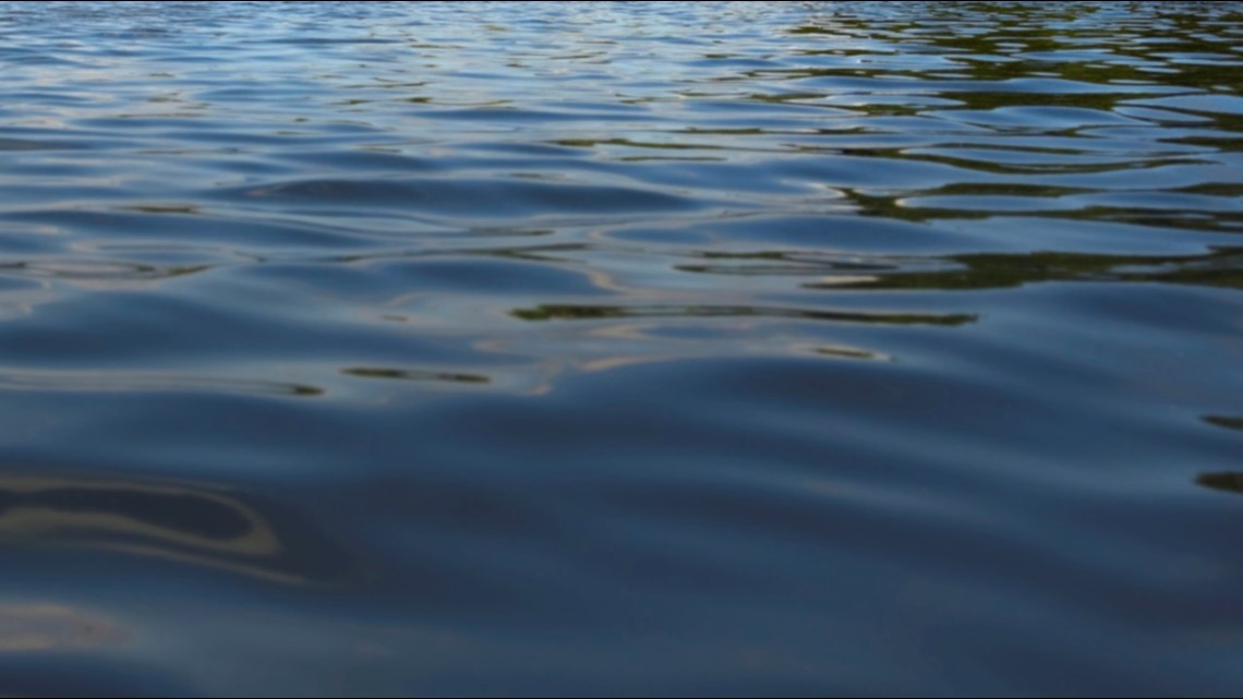 Nearly 8,000-year-old skull discovered in Minnesota River - Vimarsana News