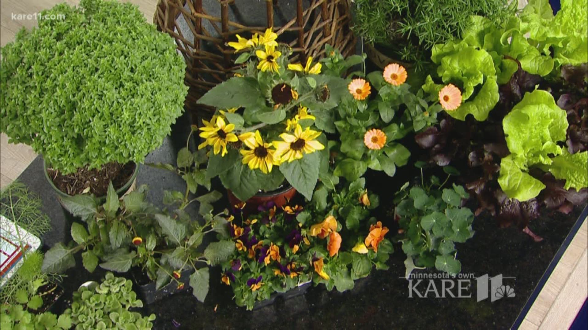 Heidi Heiland has some tips on how to create beautiful and functional yards.