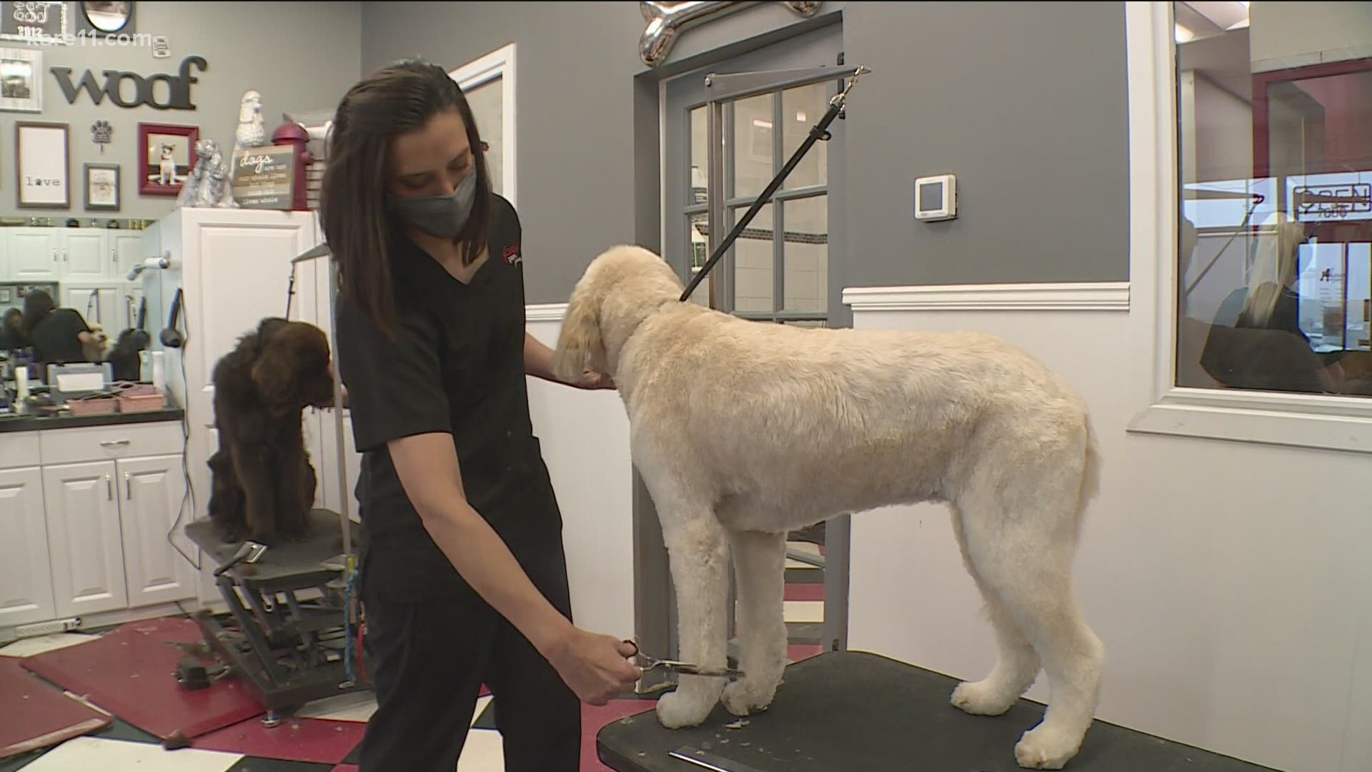 Susie Hatch is the owner of Fancy Paws Pet Salon in Lakeville.