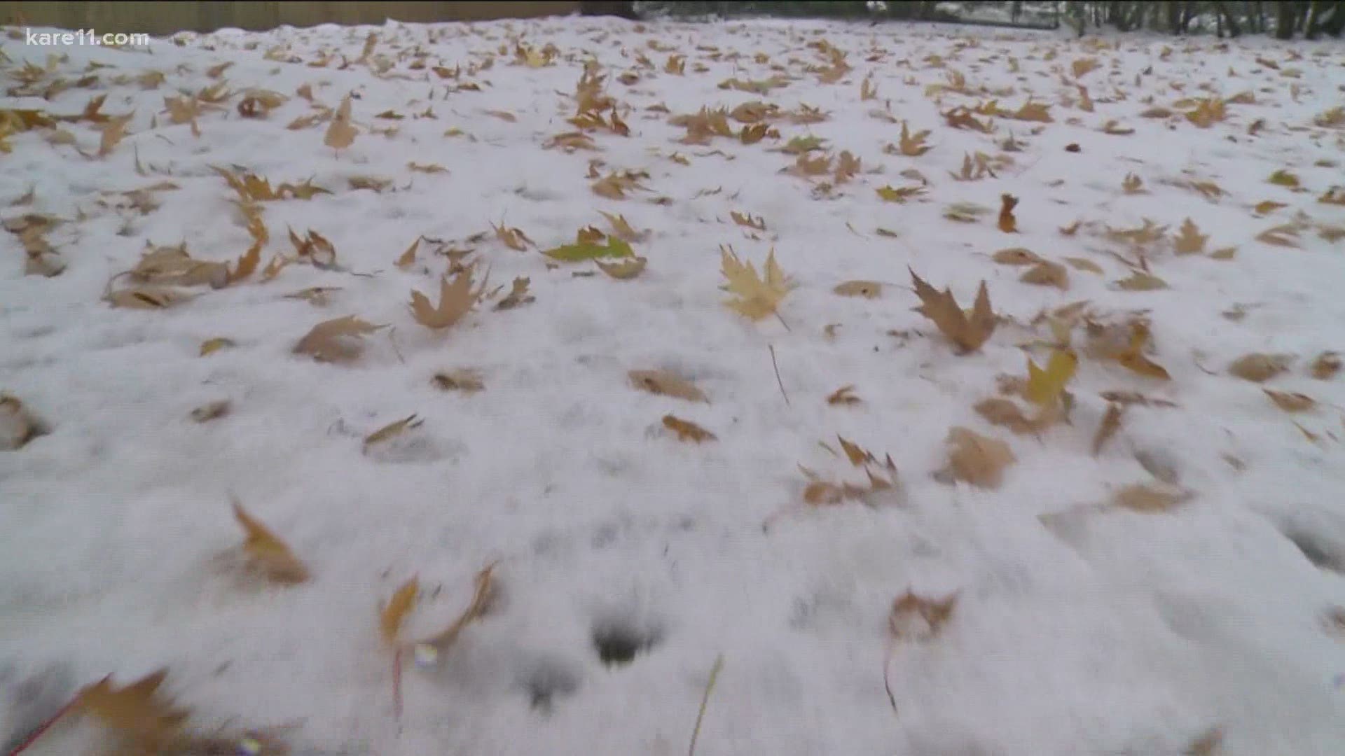 The fall cleanup was interrupted by an unusual snowfall this year. Should homeowners leave the leaves or still try to clean them up