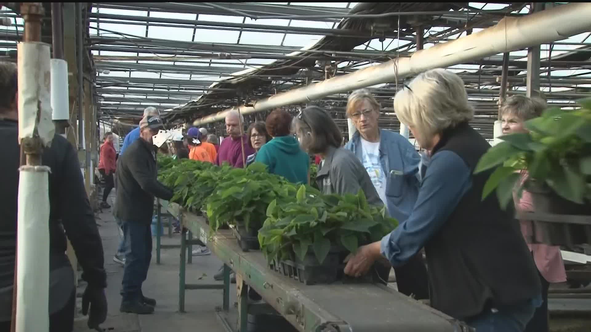 Over the weekend, a fire devastated Lynde's Greenhouse but dozens of volunteers came out Tuesday morning to help the small business.