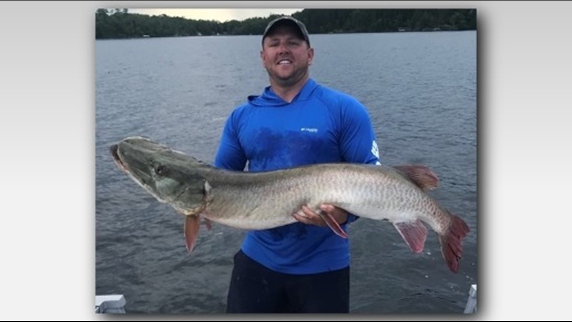 Video: Angler Catches Big Musky on Homemade…