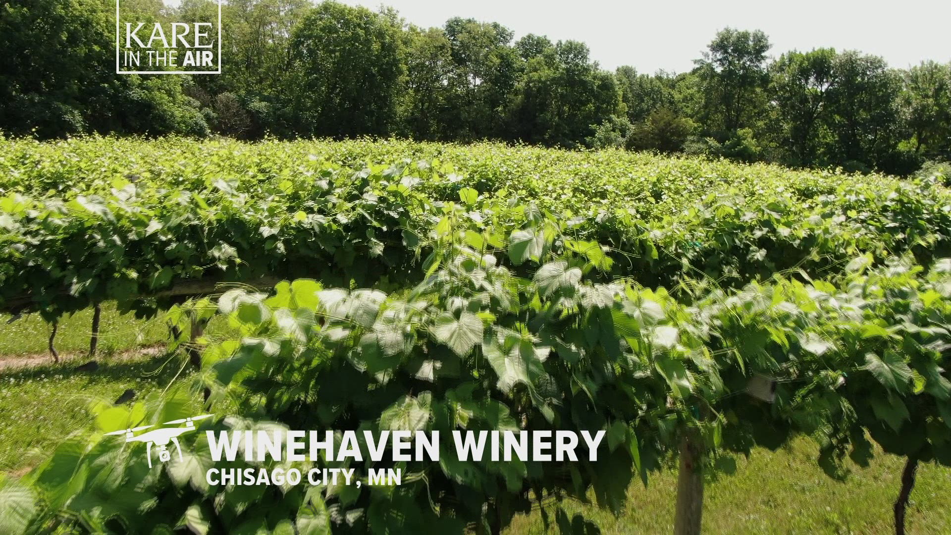 About 35 miles north of the Twin Cities, lakes and hillsides offer natural protection for a scenic winery.