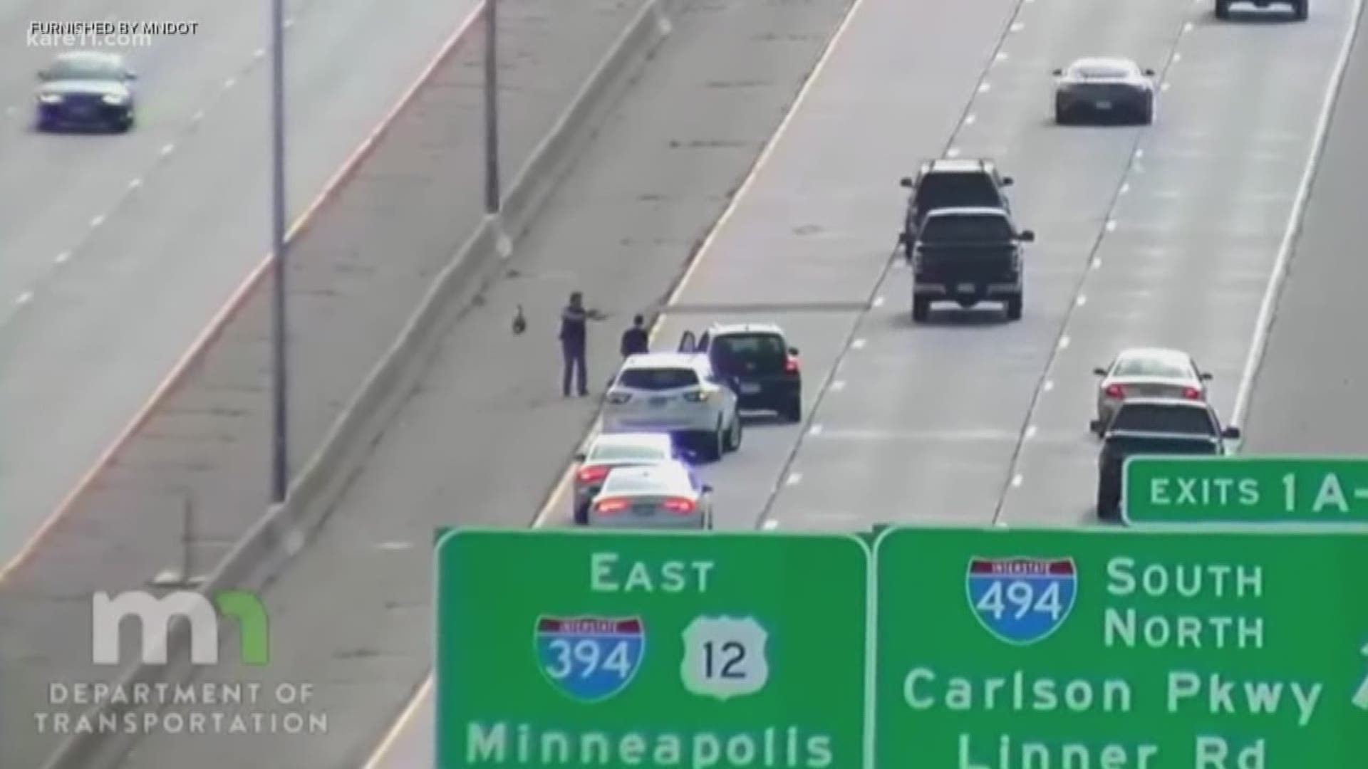 The State Patrol tweeted a public service announcement reminding people to not try to rescue animals from busy roads. The video along shows a man crossing 394 near the Carlson Parkway attempting to rescue a goose. https://kare11.tv/33ocMhS