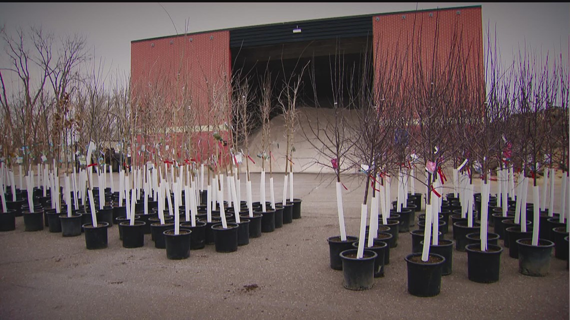 Met Council, cities team up to giveaway trees to plant in your yard - Vimarsana News