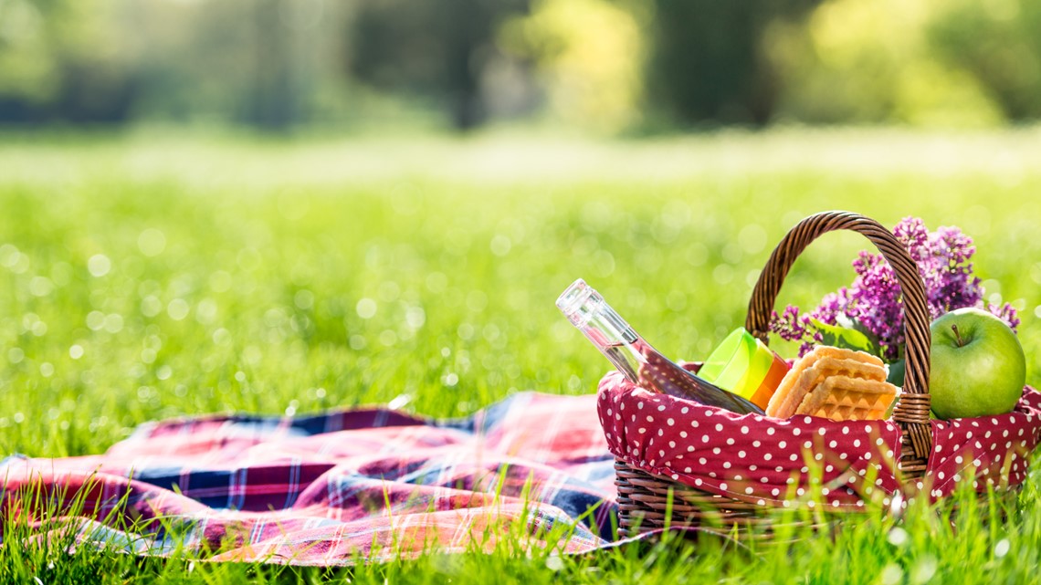 11 best places to picnic in Minnesota | kare11.com