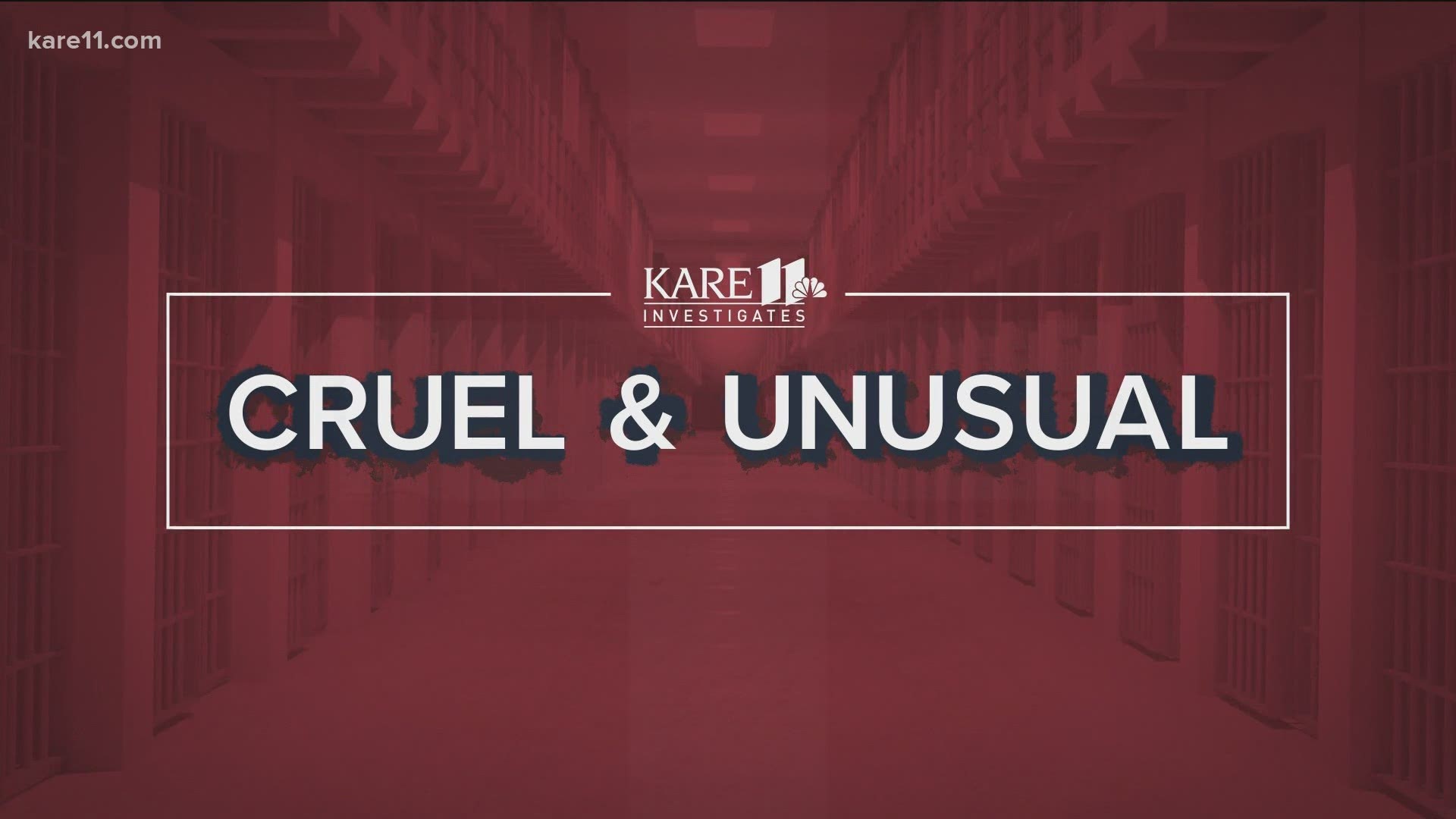 Preventable deaths, falsified records, and suicides far above the national average. A KARE 11 investigation finds an unprecedented number of jail death lawsuits.