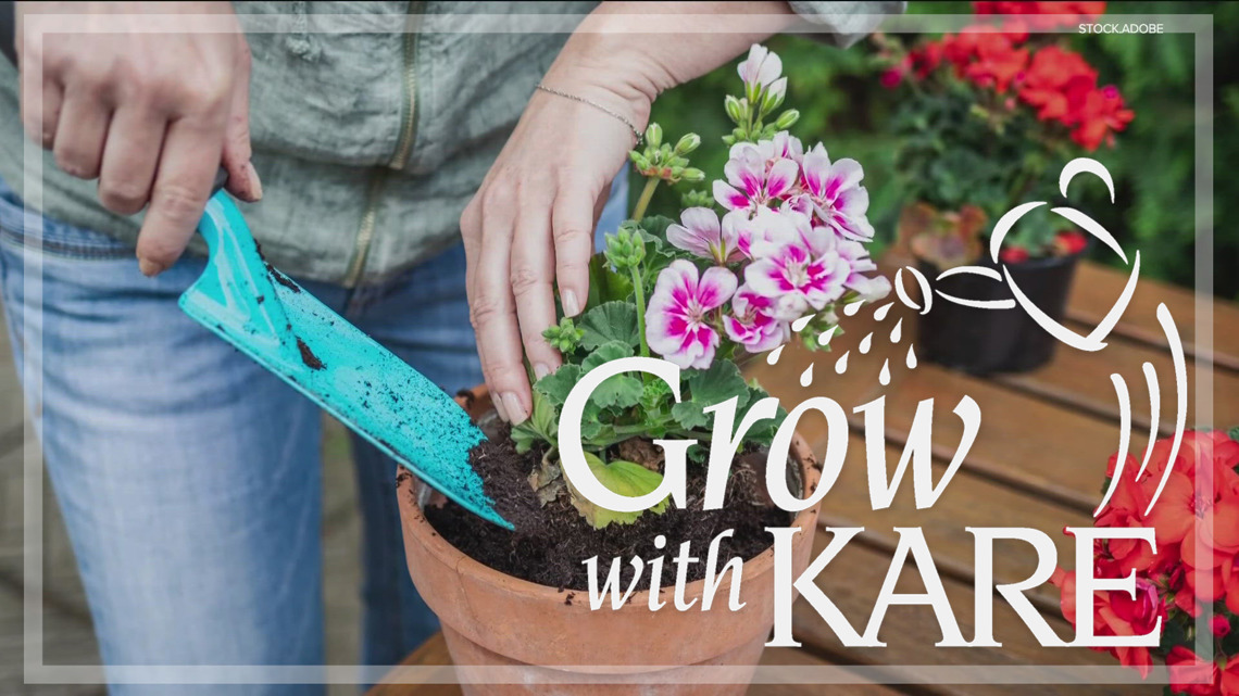 Grow with KARE: Vertical gardening