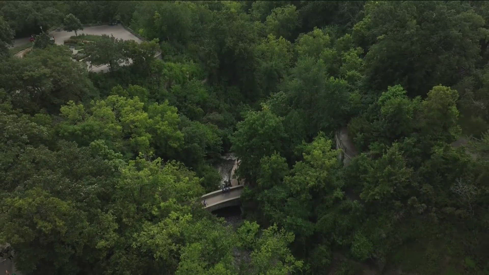 She was last seen Saturday near Minnehaha Falls.