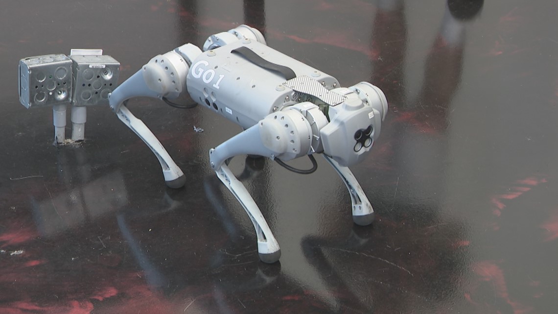 Minnesota business sells newest tech from robotic dogs to drones - Vimarsana News