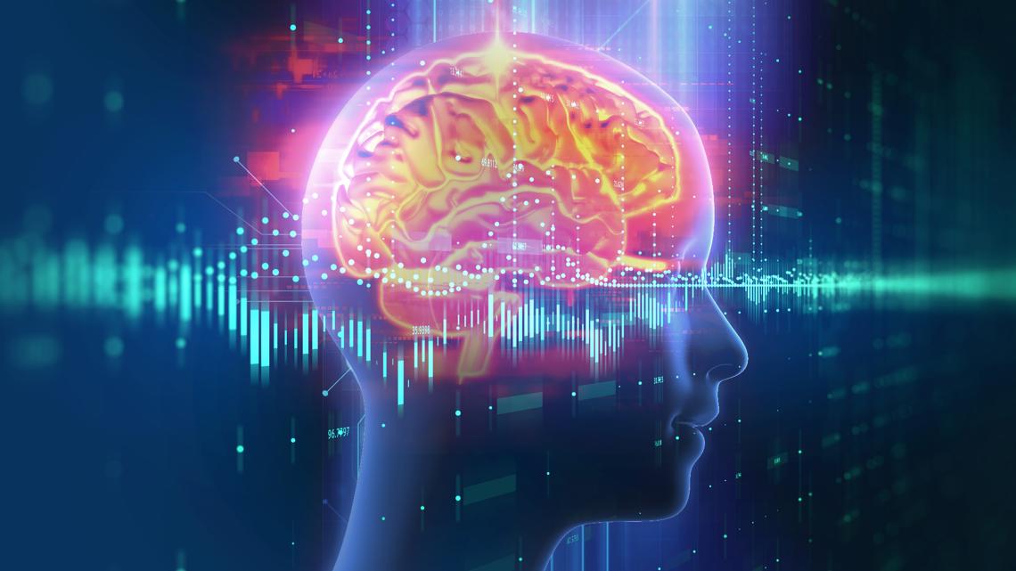 What could be behind your memory lapses - Vimarsana News