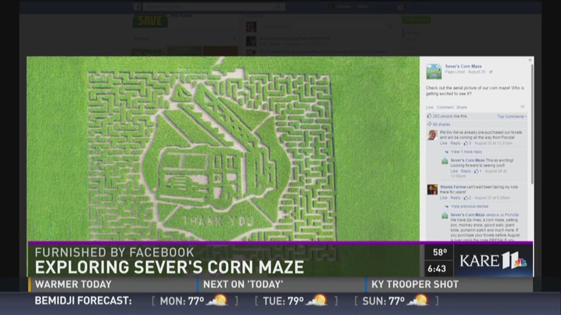 Exploring Sever's Corn Maze