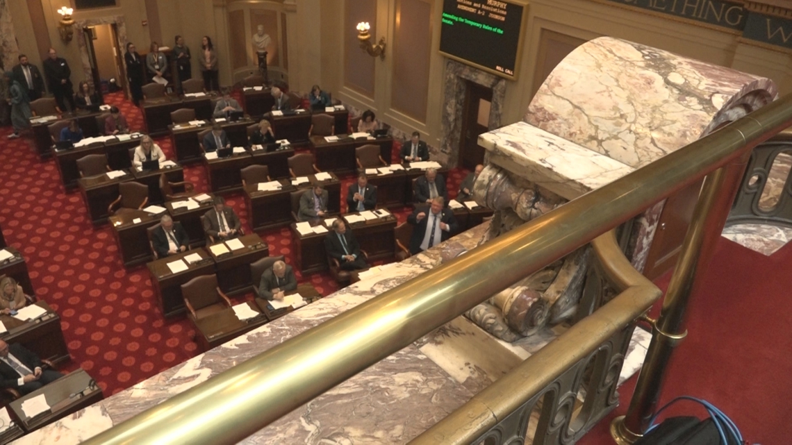 Minnesota Senate changes rule to allow kids on floor of chamber