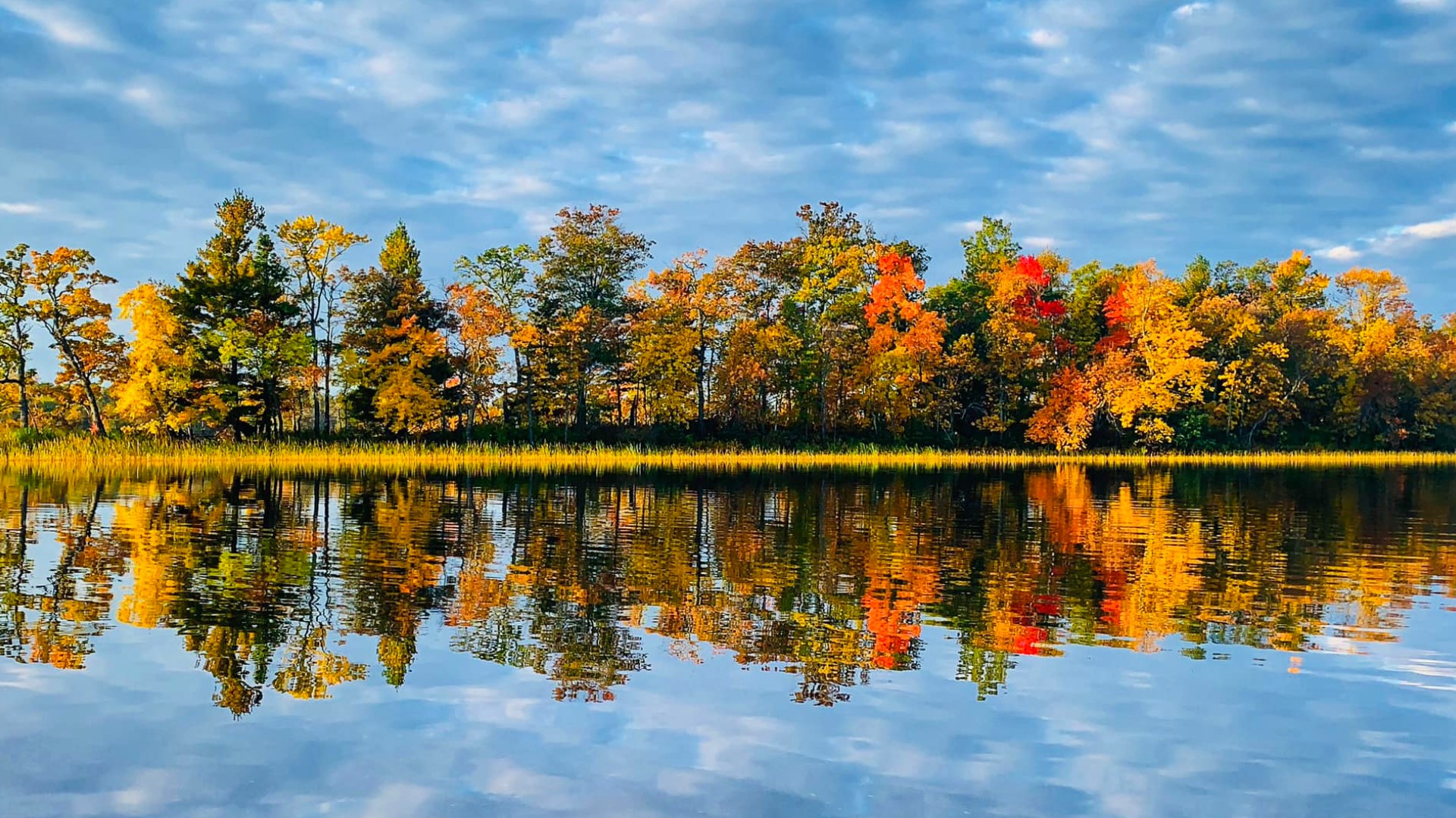 End of summer brings start of fall colors in Minnesota | kare11.com