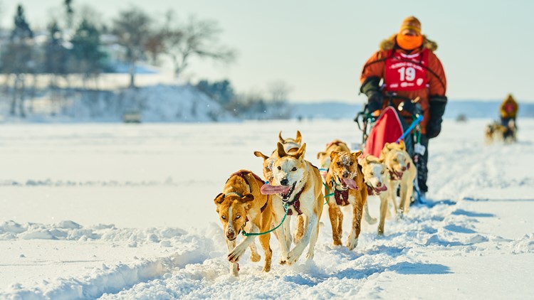 Lake Minnetonka Klondike Dog Derby: A look at past races