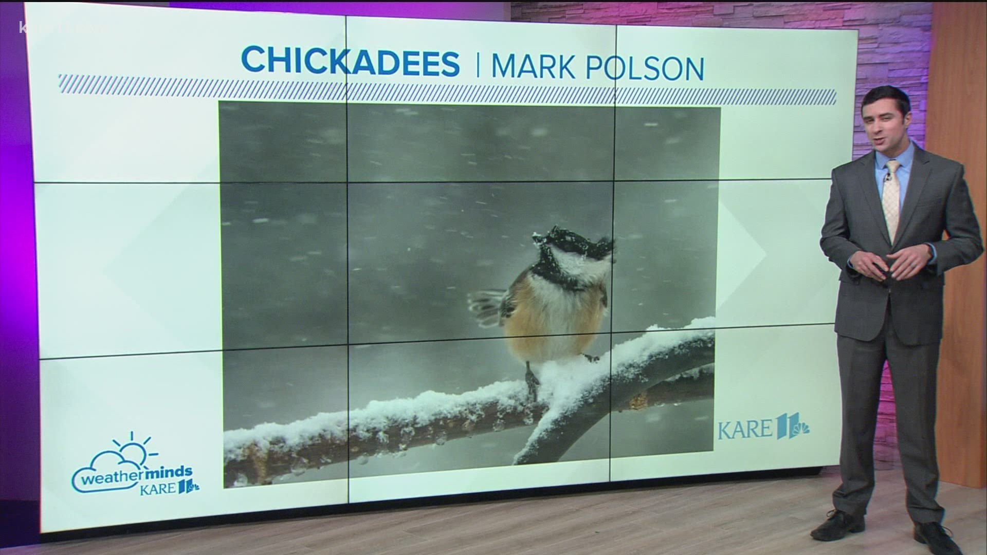 KARE 11 meteorologist Ben Dery explains how chickadees can not only survive, but thrive in the winter months.