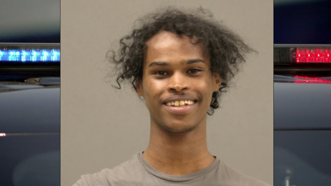 Man arrested after Mankato theft potentially was planning 'mass ...