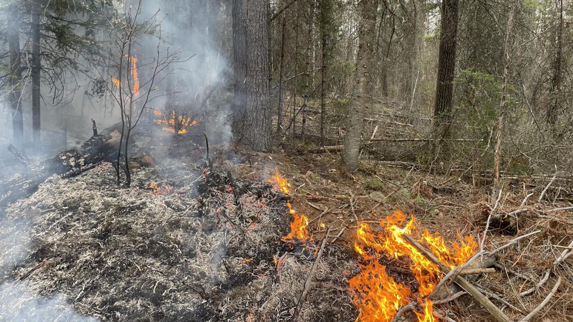 Fire burning in Superior National Forest 90% contained - Vimarsana News