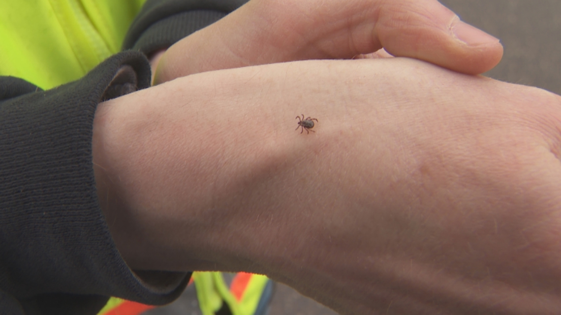 Mosquitos and ticks this Memorial Day weekend, one will be lower than usual, the other will be out in full force