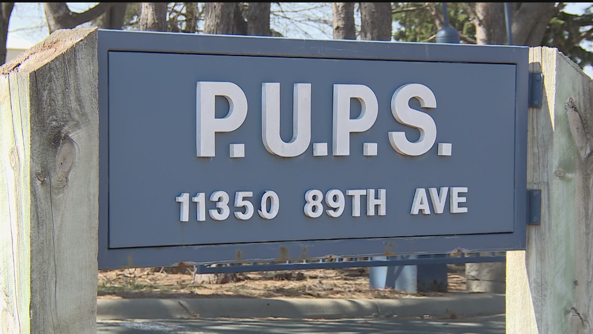 Police say the victim, a 22-year-old man, was attacked at his home by four Pit Bull Terriers he was watching for a family member.