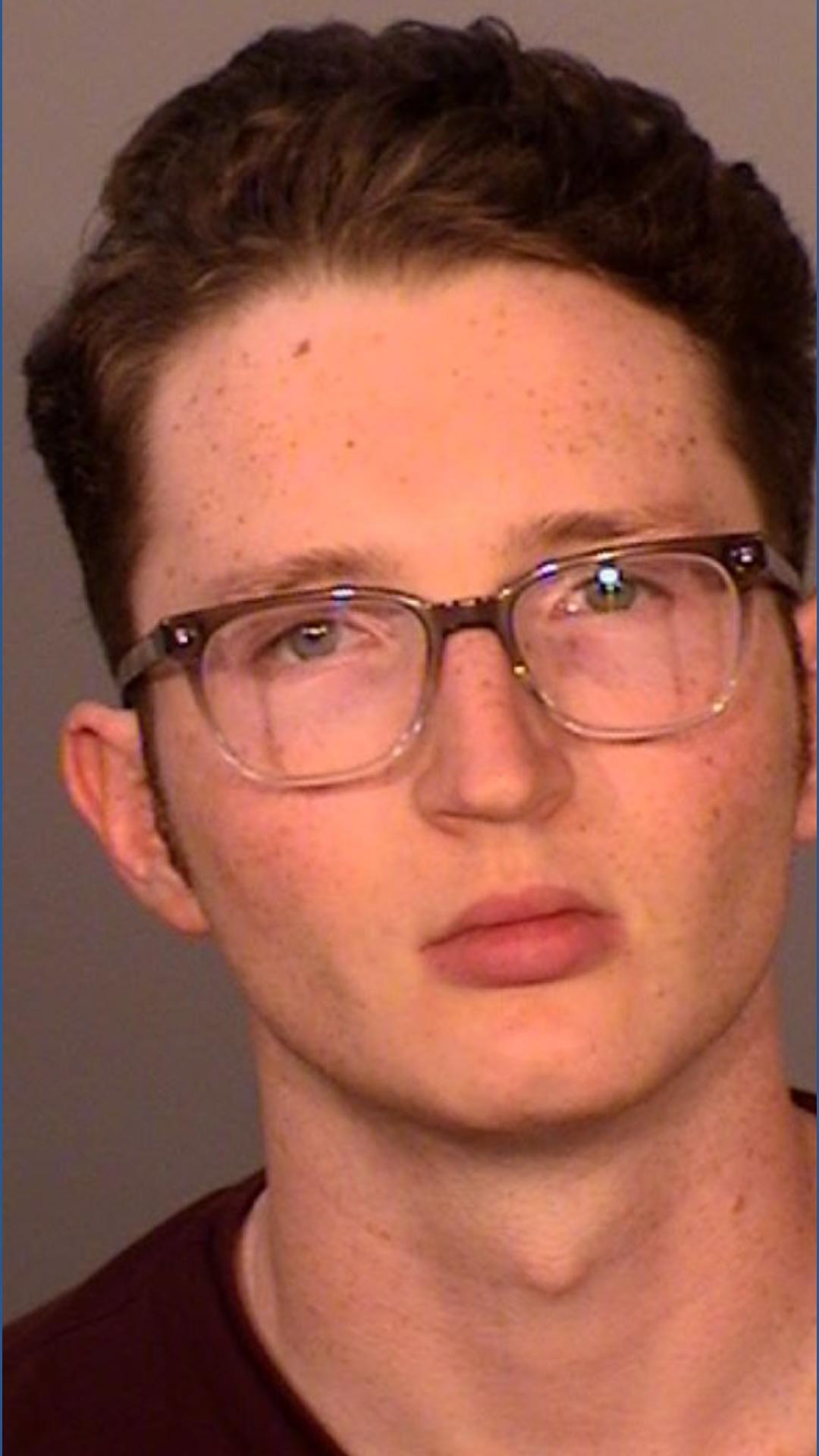 St. Paul man charged with widespread pride flag vandalism, property ...