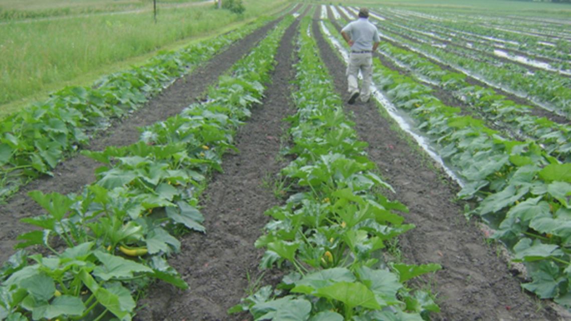 USDA's cancellation of grant program impacts underserved farmers in Minnesota