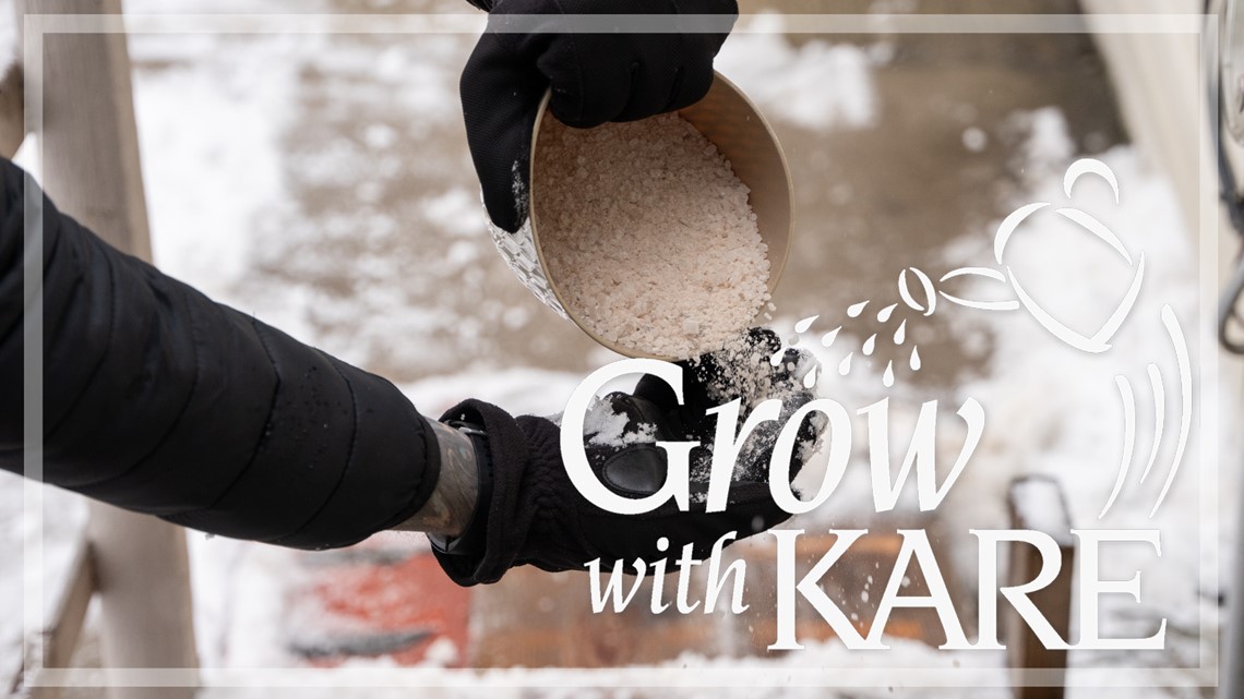 Grow with KARE: Sidewalk salt and your gardens