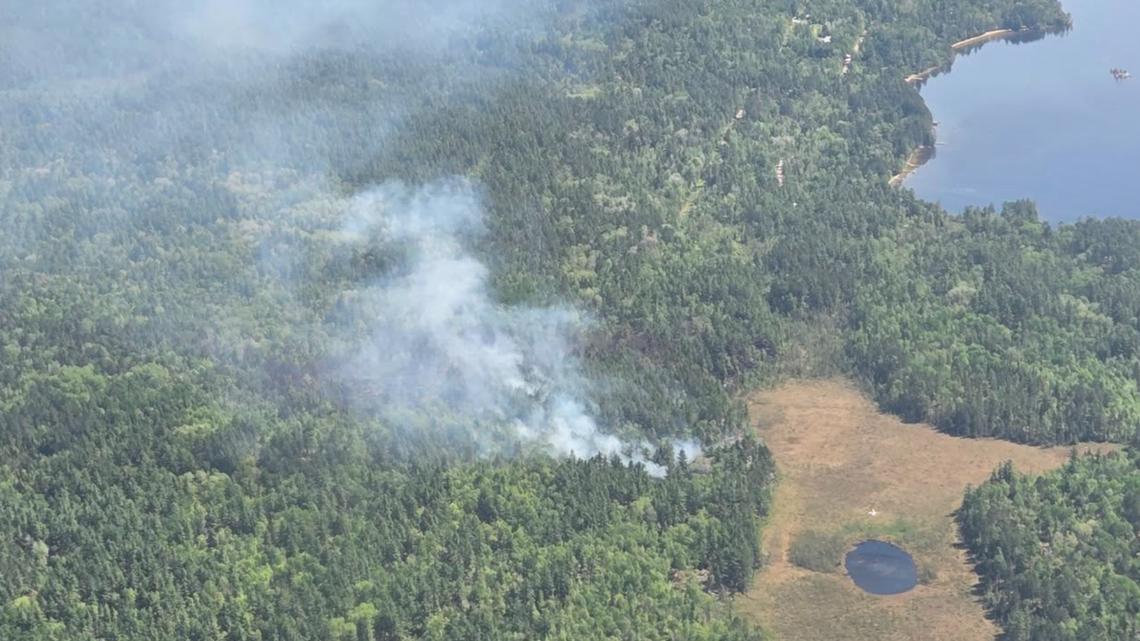 Investigation finds Birch Bay Fire likely originated from chainsaw work in the area