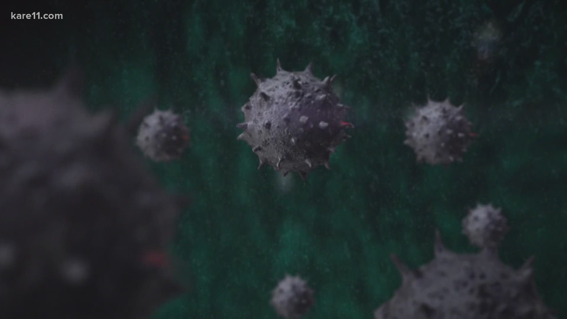 It's been more than six months since Minnesota had its first confirmed case of the coronavirus, and there's still no end in sight.