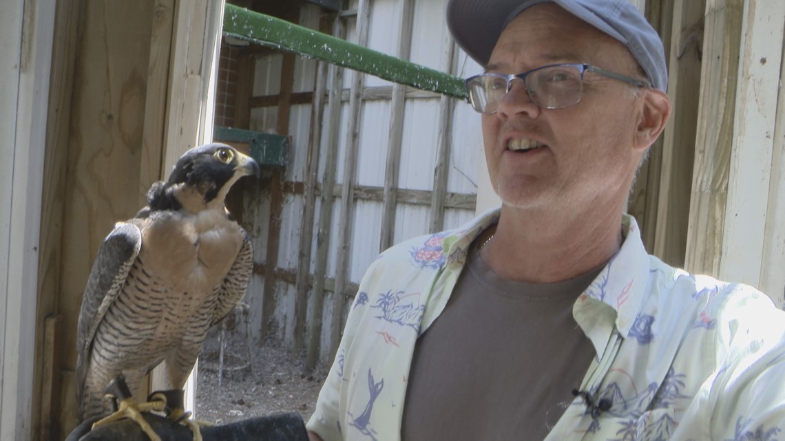 Stillwater HS teacher, master falconer Weaver retires - Vimarsana News