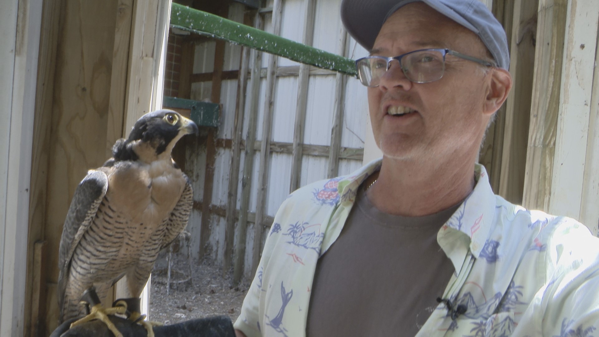 His legacy program, the "Raptor Propagation Lab" will also sunset with his retirement.